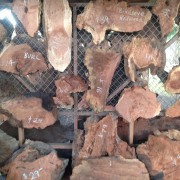 RAW REDWOOD SLABS, EVERY SHAPE AND SIZE