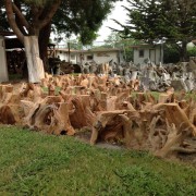  REDWOOD,MAPLE,CEDER PRE LEVELED BASES