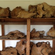  MORE MYRTLEWOOD SLABS