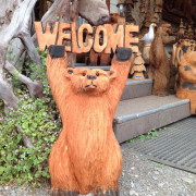 WELCOME TO CALIFORNIA NATIVE WOOD