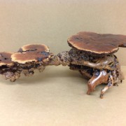 Orick, CA, wood mini tables