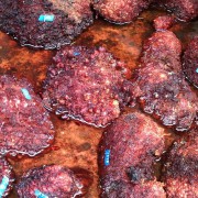  ONE INCH TO EIGHT INCHES AND LARGER